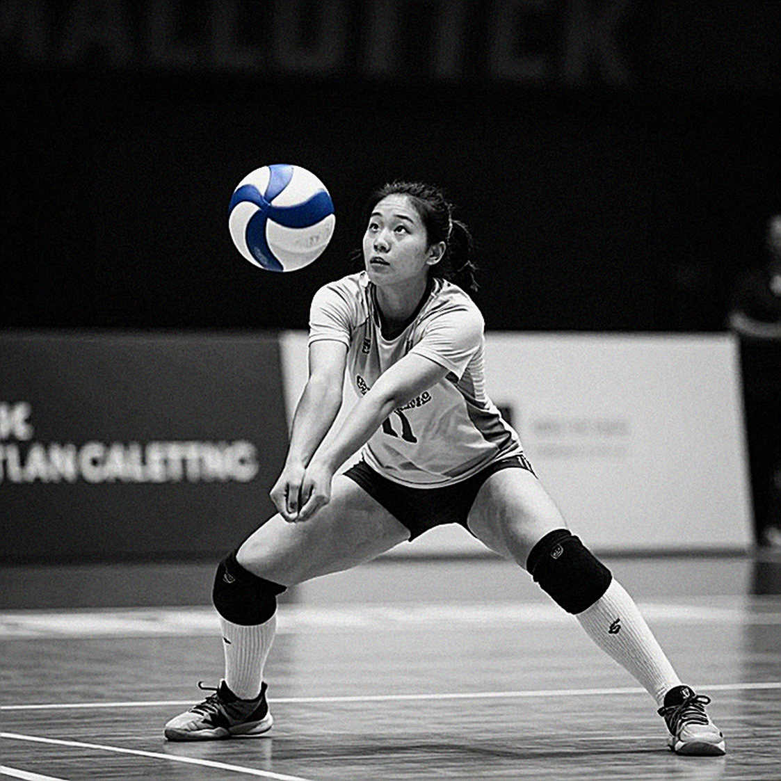 ACC Meets SEC at Disney World: Measuring the Gap Between Two Women's Volleyball Powerbases