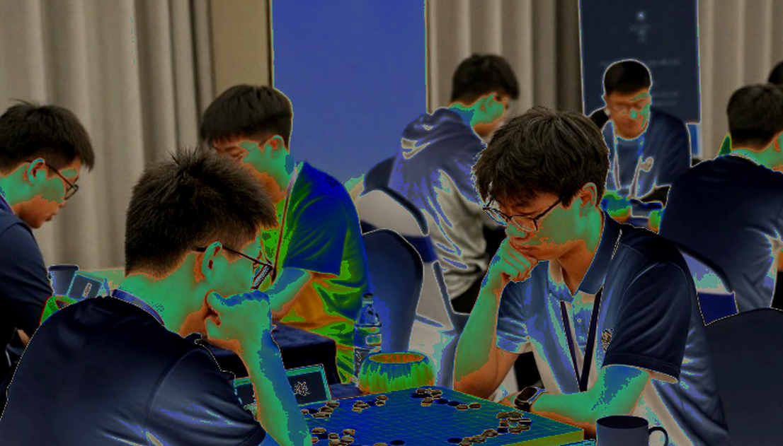 When Chess Is Called Unexpressive: The Drama of a Sport You Cannot See With Your Eyes