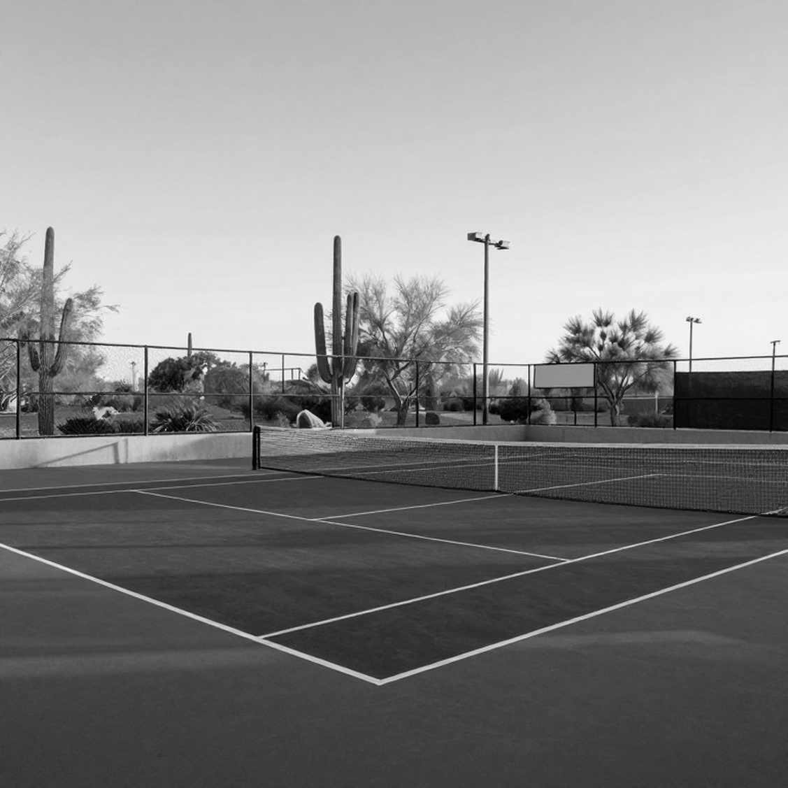 Naomi Osaka: Vượt Qua Sức Ép, Tái Lập Nhịp Điệu Trên Sân Cứng Naomi Osaka: Vượt Qua Sức Ép, Tái Lập Nhịp Điệu Trên Sân Cứng